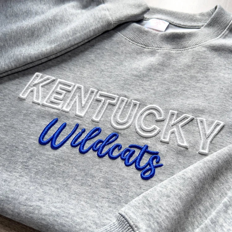 🏈🏀⚾️🥎Custom 3D PUFF Embroidery College Team Sweatshirt